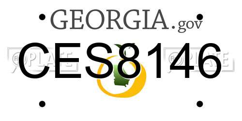 CES8146 Georgia License Plate