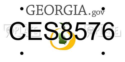 CES8576 Georgia License Plate