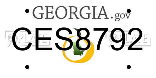 CES8792 Georgia License Plate