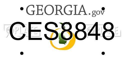 CES8848 Georgia License Plate