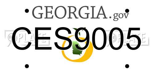 CES9005 Georgia License Plate