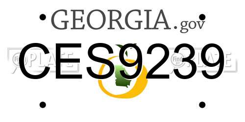 CES9239 Georgia License Plate