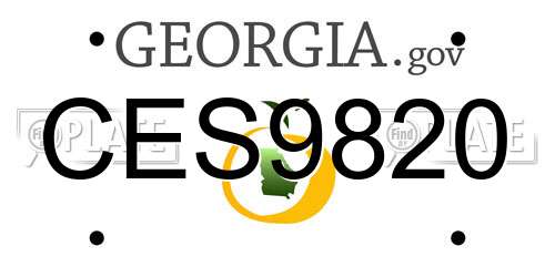 CES9820 Georgia License Plate