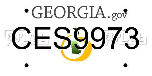 CES9973 Georgia License Plate