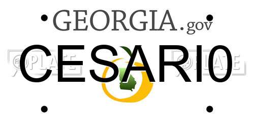 CESARI0 Georgia License Plate