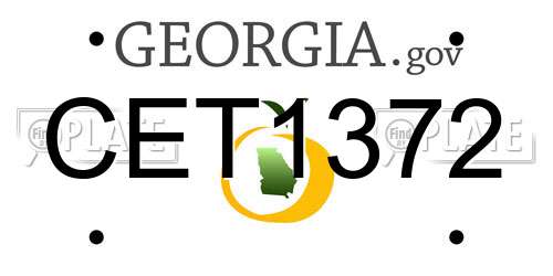 CET1372 Georgia License Plate