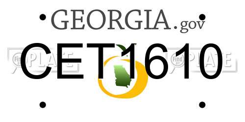 CET1610 Georgia License Plate