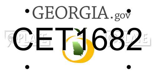 CET1682 Georgia License Plate