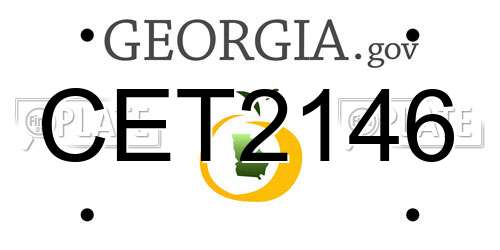 CET2146 Georgia License Plate