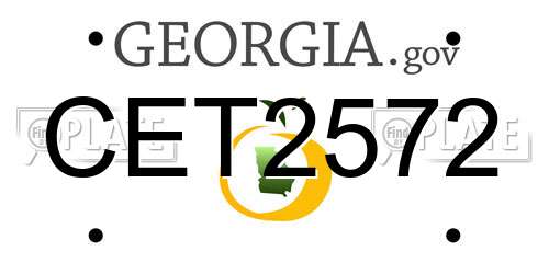 CET2572 Georgia License Plate