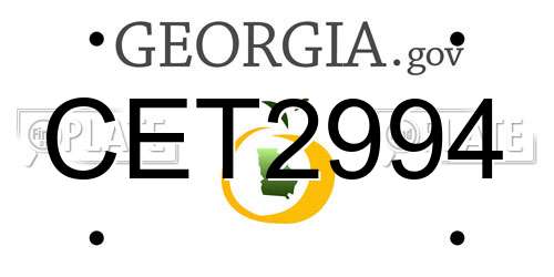 CET2994 Georgia License Plate