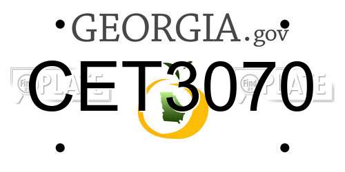 CET3070 Georgia License Plate