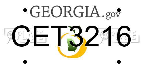 CET3216 Georgia License Plate