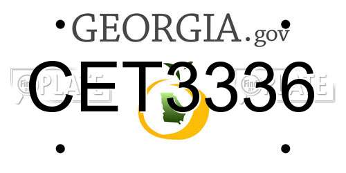 CET3336 Georgia License Plate