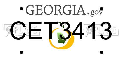 CET3413 Georgia License Plate