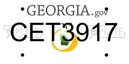 CET3917 Georgia License Plate