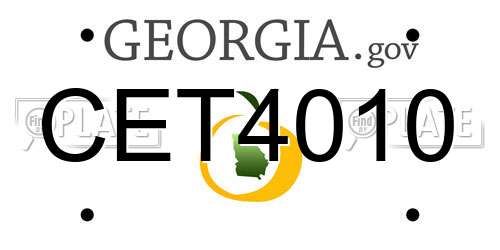 CET4010 Georgia License Plate