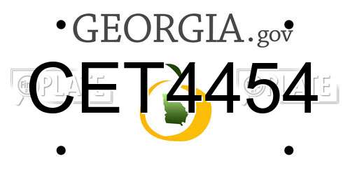 CET4454 Georgia License Plate