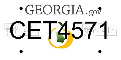 CET4571 Georgia License Plate