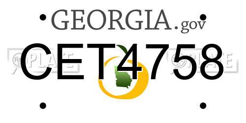 CET4758 Georgia License Plate