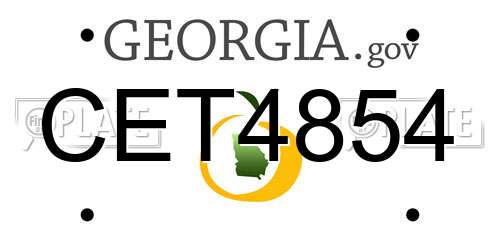 CET4854 Georgia License Plate
