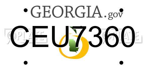 CEU7360 Georgia License Plate