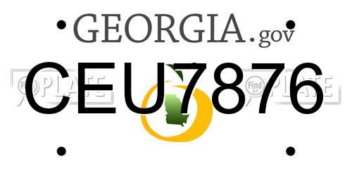 CEU7876 Georgia License Plate