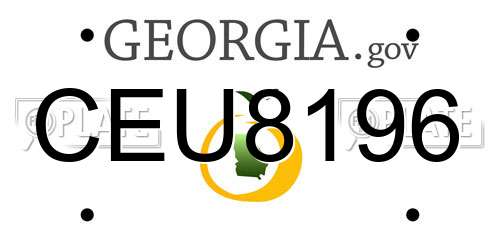 CEU8196 Georgia License Plate