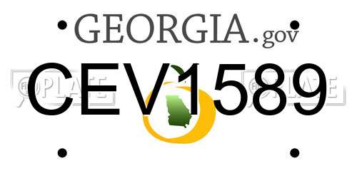 CEV1589 Georgia License Plate