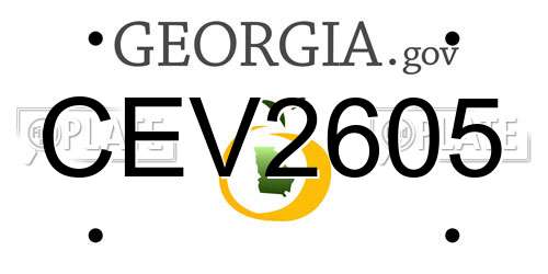 CEV2605 Georgia License Plate