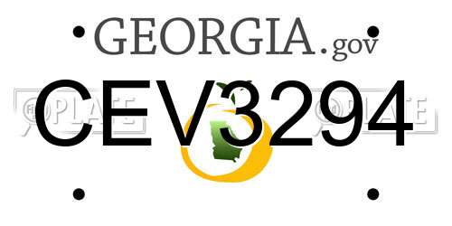 CEV3294 Georgia License Plate