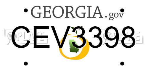 CEV3398 Georgia License Plate