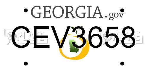 CEV3658 Georgia License Plate