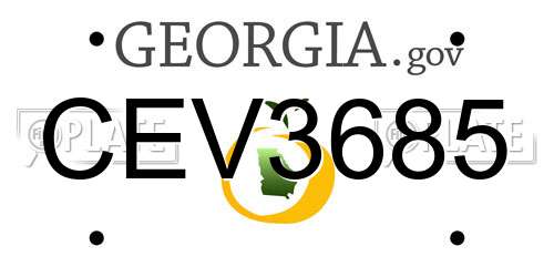 CEV3685 Georgia License Plate
