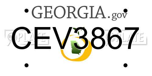 CEV3867 Georgia License Plate