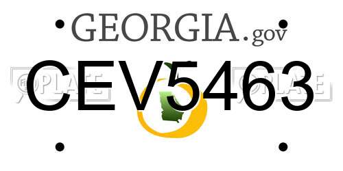 CEV5463 Georgia License Plate