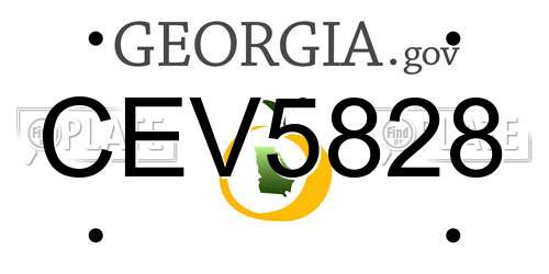 CEV5828 Georgia License Plate