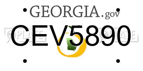 CEV5890 Georgia License Plate