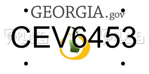 CEV6453 Georgia License Plate
