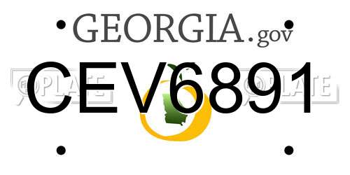 CEV6891 Georgia License Plate