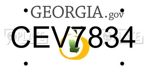 CEV7834 Georgia License Plate