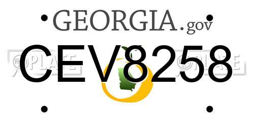 CEV8258 Georgia License Plate