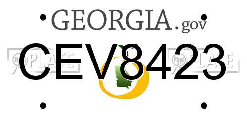 CEV8423 Georgia License Plate