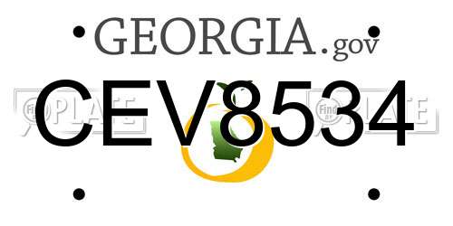 CEV8534 Georgia License Plate