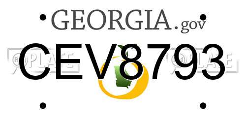 CEV8793 Georgia License Plate