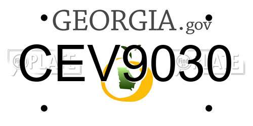 CEV9030 Georgia License Plate