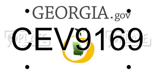CEV9169 Georgia License Plate