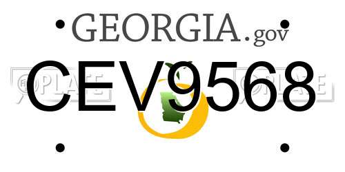 CEV9568 Georgia License Plate