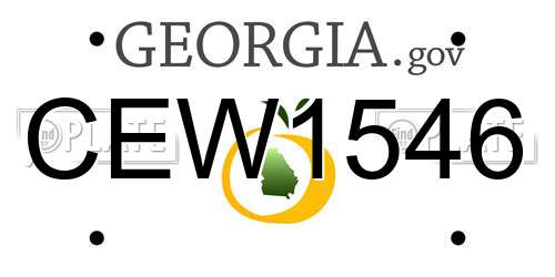 CEW1546 Georgia License Plate