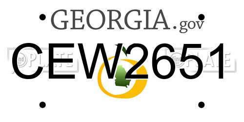 CEW2651 Georgia License Plate
